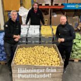 Västerbotten potatis