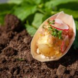 Färskpotatis med Gräddfil och Stenbitsrom